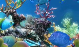 怎么把电脑桌面设置3d动态壁纸 3d动态屏保