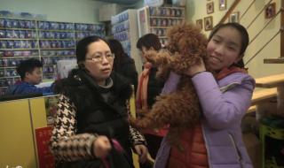 开个宠物店需要什么经营执照吗 开个宠物店需要什么