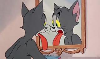 猫和老鼠疯狂奶酪赛为何消失了 猫和老鼠消失的22集